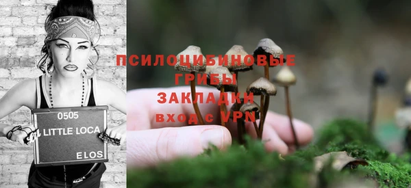 твердый Новокубанск
