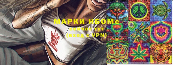 амф Новодвинск