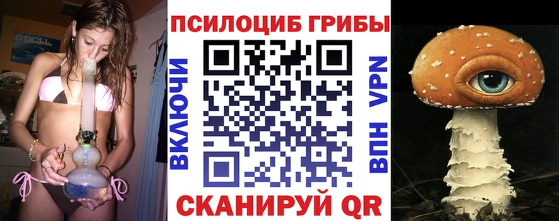МЕГА ТОР  Курчатов  Псилоцибиновые грибы Psilocybine cubensis 