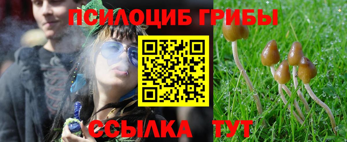 Псилоцибиновые грибы мухоморы Курчатов