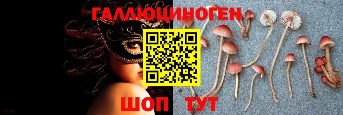 Псилоцибиновые грибы Psilocybe  Вход с VPN  закладки  Курчатов 